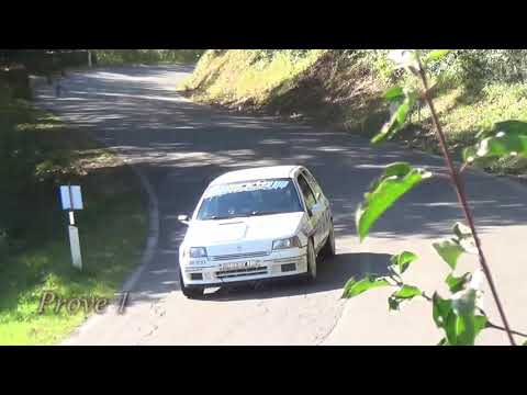COPPA DEL CHIANTI 2018 SIMONE BORGHI RENAULT CLIO WILLIAMS