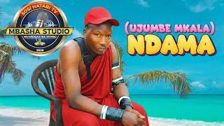 NDAMA JIGUSHILAGA UJUMBE  WA  MKALA  0787458304MBASHA  STUDIO2026