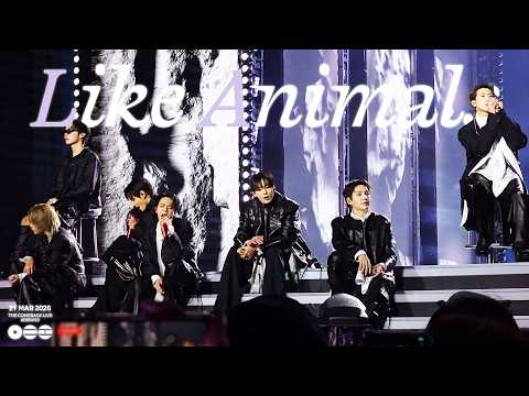 [4K] 260321 Like Animals 🔴🔴🔴 #ARIRANG BTS NETFLIX THE COMEBACK LIVE GWANGHWAMUN 방탄소년단 광화문 | ENG SUBS