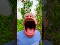 BiBoBen Shorts Greedy Wife Ate My Ice Cream Hảo Bà Vợ Xấu Tính Lấy Mất Chiếc Kem Của