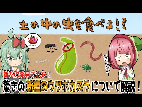 IUCN分類における絶滅の危険性を示す図。