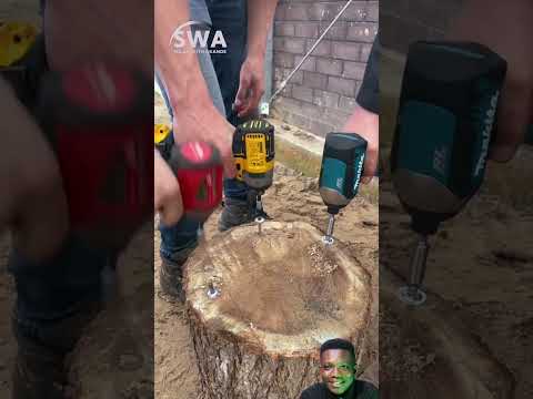 WATCH THIS NOW!!! MILWAUKEE VS DEWALT VS MAKITA  #basictools #tools #goodtools