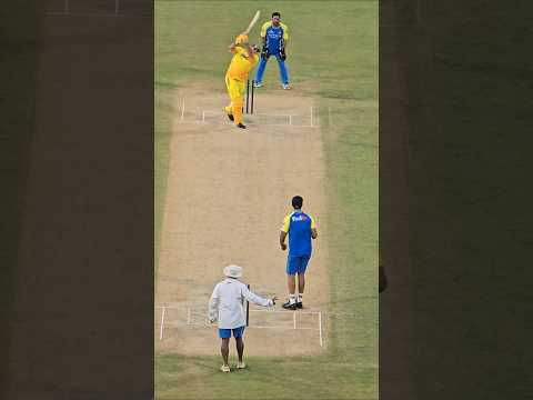 Reel tagged #cricket