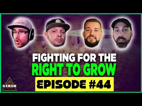 Fighting For the Right to Grow - From the Stash Ep. 44