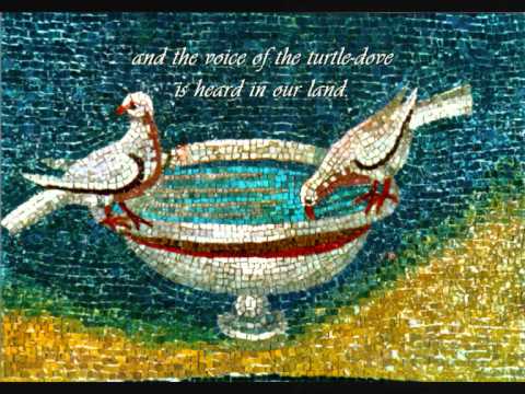 Medieval music - Tota pulchra es by John Plummer