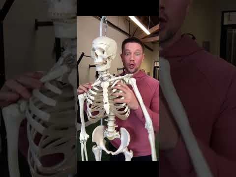 How To Fix Uneven Shoulders - In 20 Seconds!! #posture #posturecorrection #shoulderpain