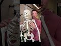 How To Fix Uneven Shoulders In 20 Seconds Posture Posturecorrection Shoulderpain