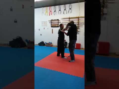Combat Cane Techniques  6 - 10