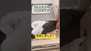 完成しました！そして・・・#shorts