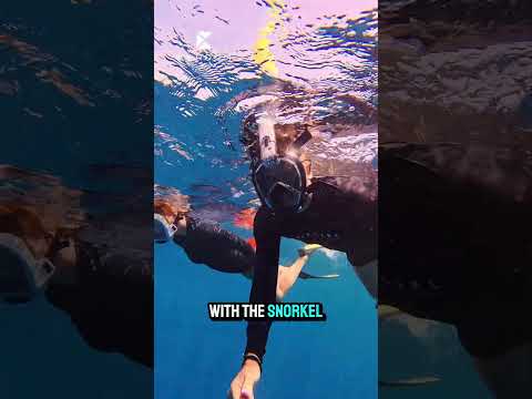 Your Next Beach Trip Needs This Fullface-Snorkel Mask from Khroom