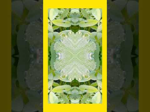 #shabnam ❤ #shorts 👌🏻 #seen #amazing