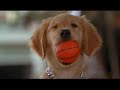 Airbuddies DVD Trailer