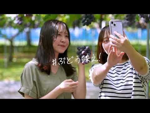 聖籠町観光プロモーション動画（聖籠町観光ぶどう園）