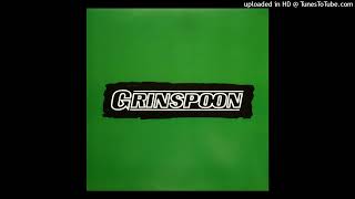 Grinspoon - Point of View