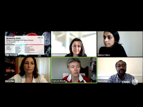 EMBL Keynote Lecture at the BioMalPar XVII: Biology and Pathology of the Malaria Parasite