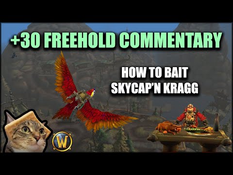 Resto Druid High M+ Commentary [30 Freehold]