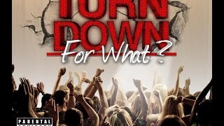 DJ Snake Feat. Lil Jon, Pitbull, Juicy J, Ludacris, &amp; 2 Chainz - Turn Down For What Remix