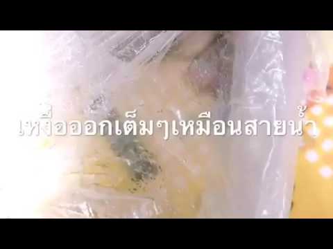 เชื้อโรคม้า Rostov on Don ก่อนการรักษาของความอ่อนแอ