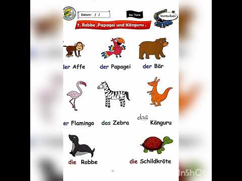 Robbe , Papagei und Känguru _ Jana und Dino 1