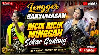 Download lagu LENGGER BANYUMASAN// RICIK - RICIK MINGGAH SEKAR GADUNG mp3