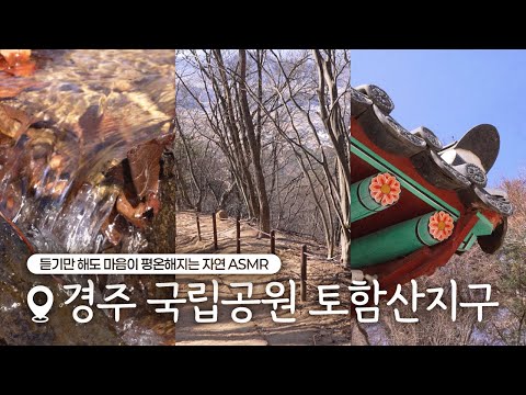 [경주의 소리] 듣기만 해도 마음이 평온해지는 경주 산속 ASMRㅣ산을담다편