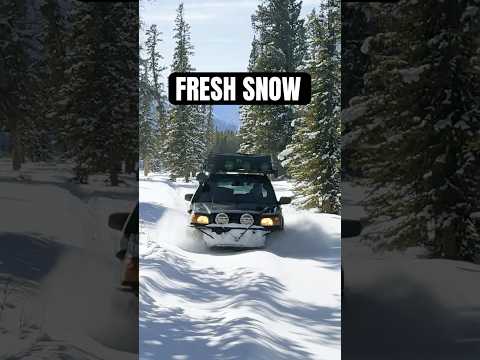 Subaru Forester Deep Snow Test: Can It Handle Winter?