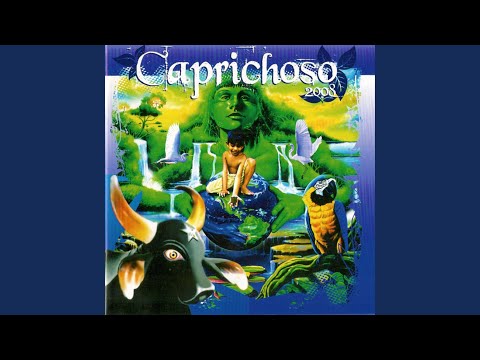 Amazônia Terra Santa video