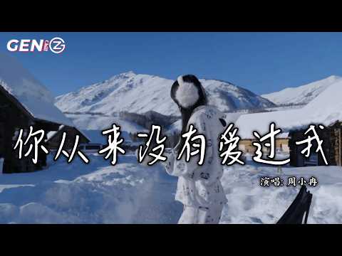 周小冉 - 你从来没有爱过我 │Ni Cong Lai Mei You Ai Guo Wo - Zhou Xiao Ran『只剩街边的路灯 在配着我飘啊飘，住在回忆中的人 想忘也忘不掉』动态歌词MV