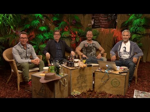 Die große BILD-Dschungelshow im Live-Stream - 20.01.2016