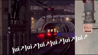 South Island Line train departure ， But Minecraft Transit Railway