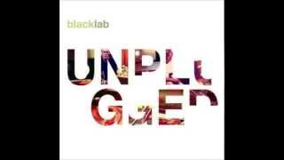 Black Lab - Learn To Crawl Unplugged Version