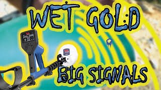 Detecting GOLD in Wet Ground = BOOSTED Signals! | Prospecting California