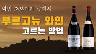 실패없이 부르고뉴 와인 구입하는 방법 | 피노누아, 샤도네이 추천 | 대표 생산자