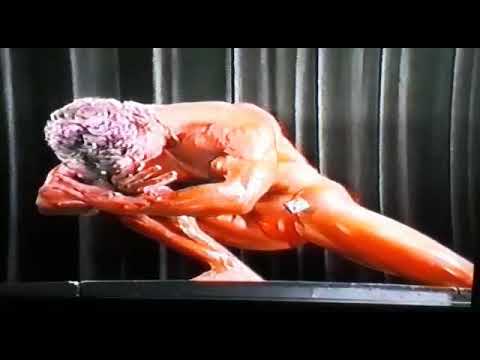 Bodybuilding - Hansi Rösler - 1984
