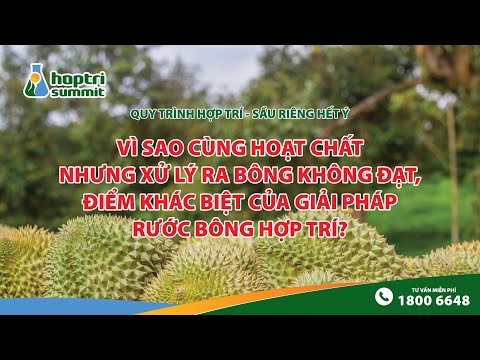 Vì sao cùng hoạt chất nhưng xử lý ra bông không đạt? Điểm khác biệt của giải pháp rước bông Hợp Trí?
