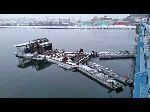 Connecting a fish trap, a bridge and juvenile fish to the ocean.