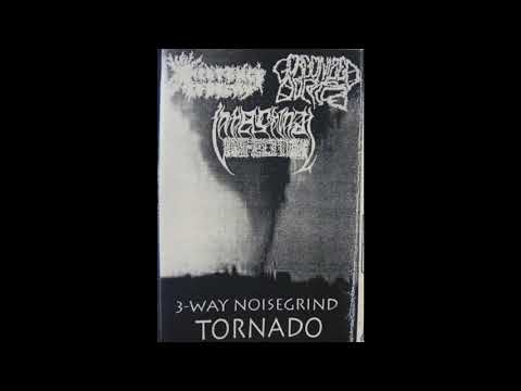 3-way Noisegrind Tornado (Existence is Decay / Gorgonized Dorks / Intestinal Infection)