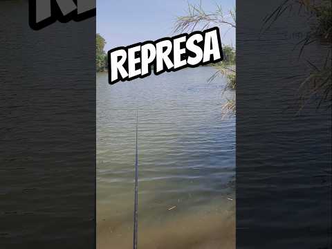 Represa em Ribeirão Corrente SP  #interior #pesca #tilapia