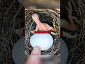 Why Did This Baby Bird Kick Out the Eggs?