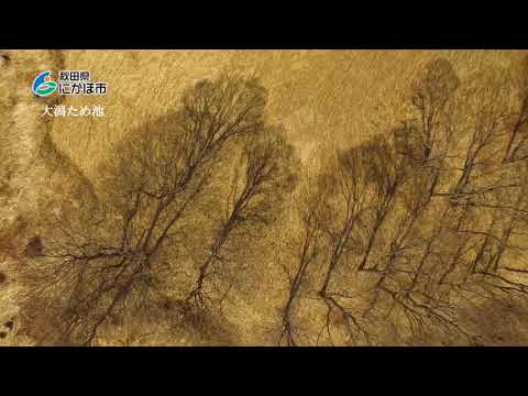 にかほ市観光PR動画2018⑧「大潟ため池」