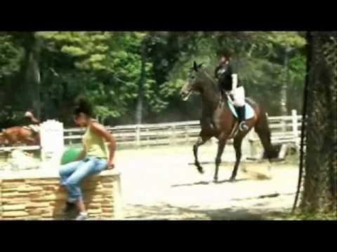 [(Take My Picture)] Meet Damiro!