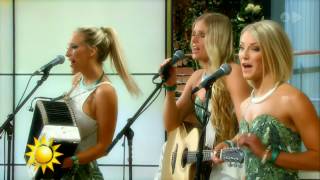 Timoteij  -Wildfire (Live  HD 720p)