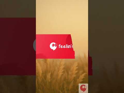 Feelin's App Guide - Buddy