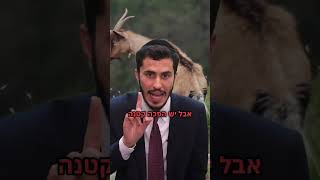 גם שם ה' מסתתר | הרב יצחק ישי בנון (ארגון ענפים) - התמונה מוצגת ישירות מתוך אתר האינטרנט יוטיוב. זכויות היוצרים בתמונה שייכות ליוצרה. קישור קרדיט למקור התוכן נמצא בתוך דף הסרטון גם שם ה' מסתתר | הרב יצחק ישי בנון (ארגון ענפים) - התמונה מוצגת ישירות מתוך אתר האינטרנט יוטיוב. זכויות היוצרים בתמונה שייכות ליוצרה. קישור קרדיט למקור התוכן נמצא בתוך דף הסרטון