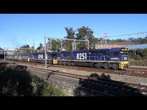 8251 / 8248 / 48201 with PN 3522 Grain - 8/7/17