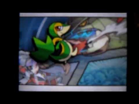 comment avoir pokémon keldeo