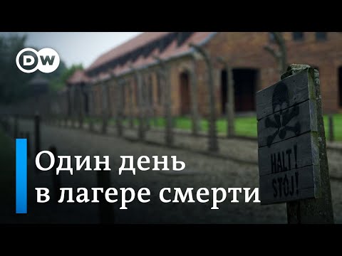 Один день в Освенциме: что говорит немецкая молодежь после посещения лагеря смерти