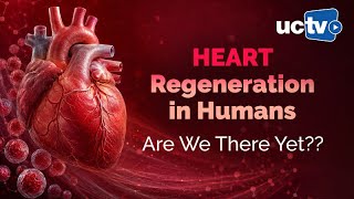 Can Stem Cells Repair a Damaged Heart?
