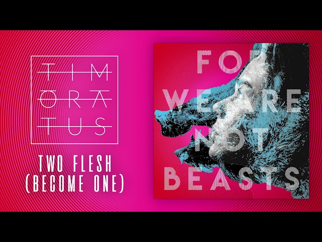 Timoratus – Two Flesh (Remix Stems)