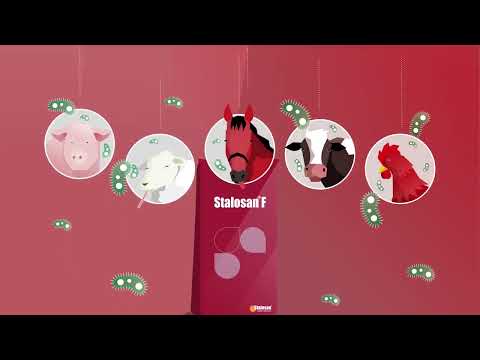 STALOSAN F Thuốc sát trùng đa tác dụng của Amavet
